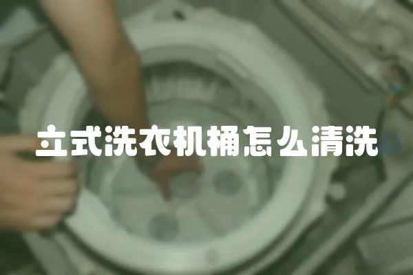 立式洗衣機(jī)桶怎么清洗