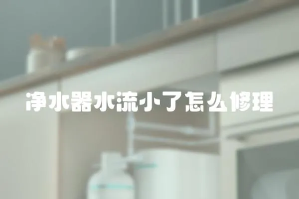 凈水器水流小了怎么修理
