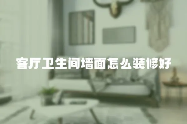客廳衛生間墻面怎么裝修好