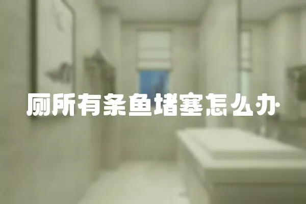 廁所有條魚堵塞怎么辦