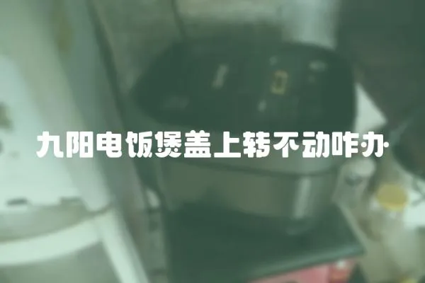 九陽電飯煲蓋上轉不動咋辦