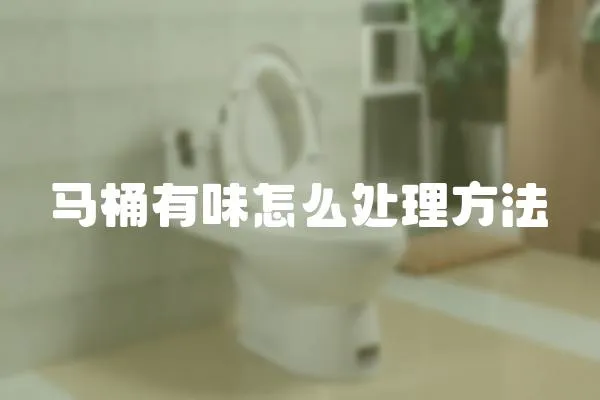 馬桶有味怎么處理方法