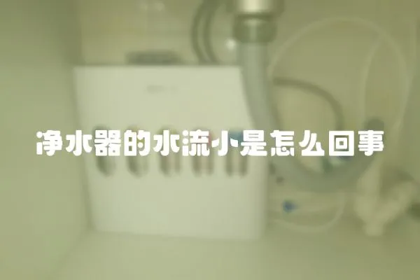 凈水器的水流小是怎么回事