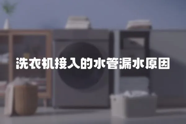 洗衣機(jī)接入的水管漏水原因