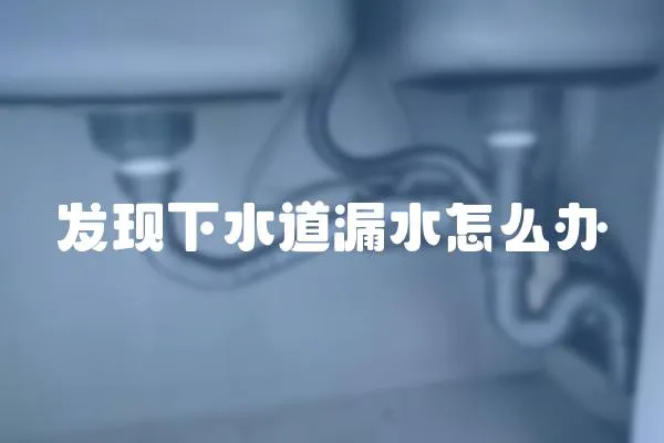 发现下水道漏水怎么办