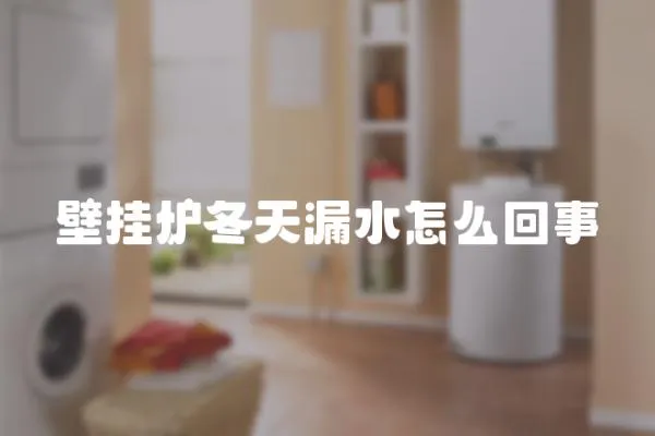 壁掛爐冬天漏水怎么回事