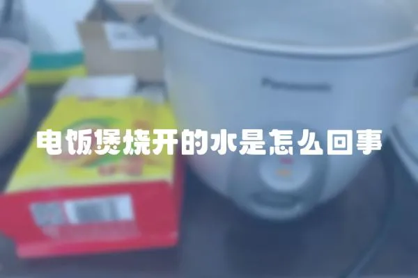 電飯煲燒開的水是怎么回事