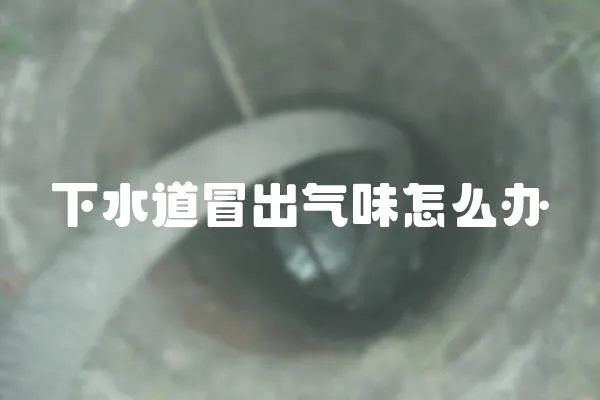 下水道冒出氣味怎么辦