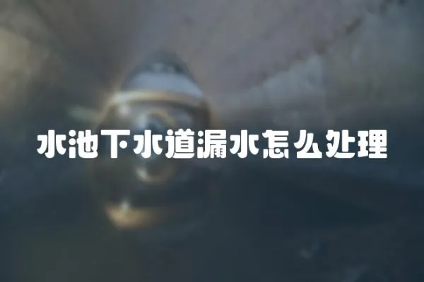 水池下水道漏水怎么處理