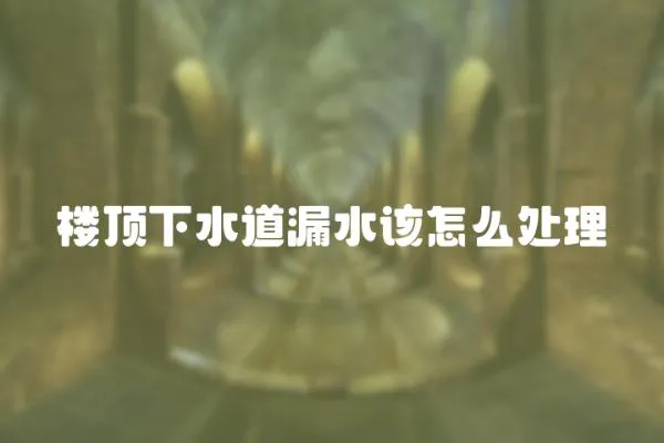 樓頂下水道漏水該怎么處理