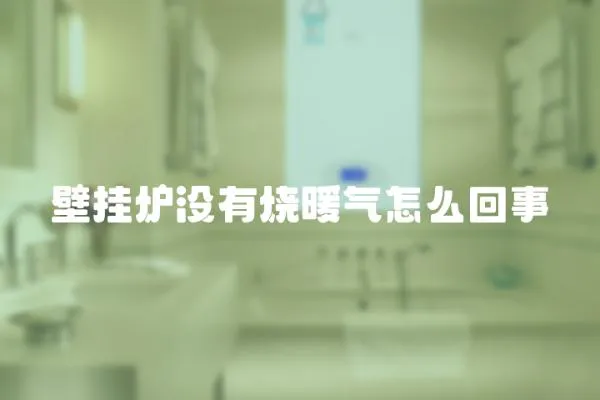 壁掛爐沒有燒暖氣怎么回事