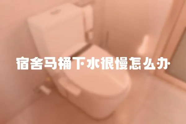 宿舍馬桶下水很慢怎么辦
