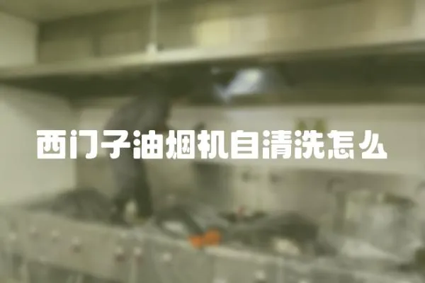 西門子油煙機自清洗怎么