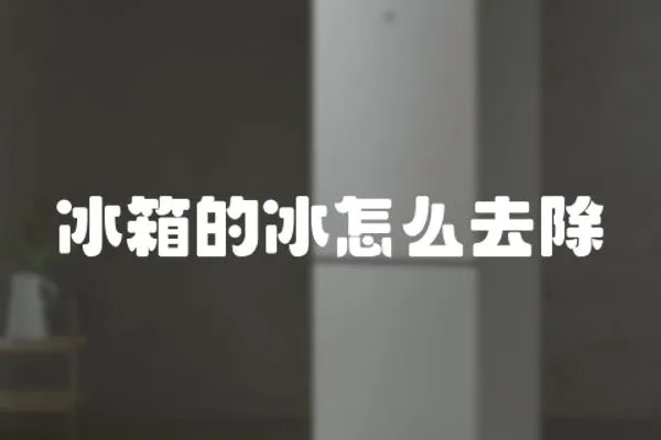 冰箱的冰怎么去除