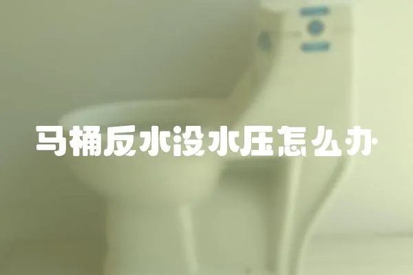 馬桶反水沒水壓怎么辦