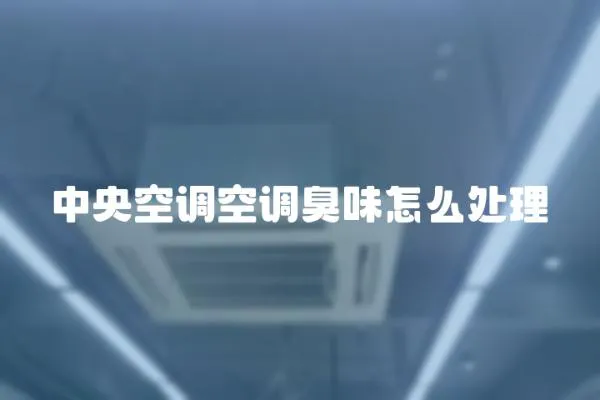 中央空調(diào)空調(diào)臭味怎么處理