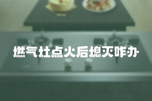 燃氣灶點火后熄滅咋辦
