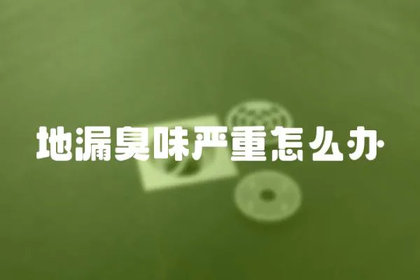地漏臭味嚴(yán)重怎么辦