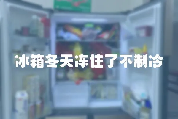 冰箱冬天凍住了不制冷