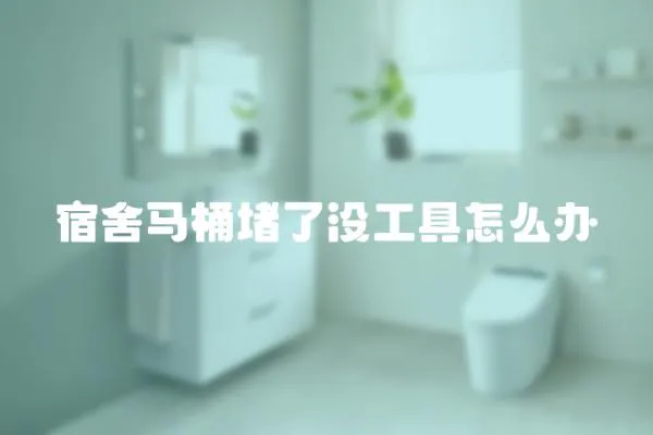 宿舍馬桶堵了沒工具怎么辦