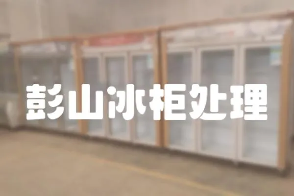 彭山冰柜處理