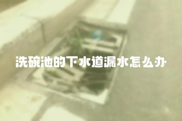 洗碗池的下水道漏水怎么辦