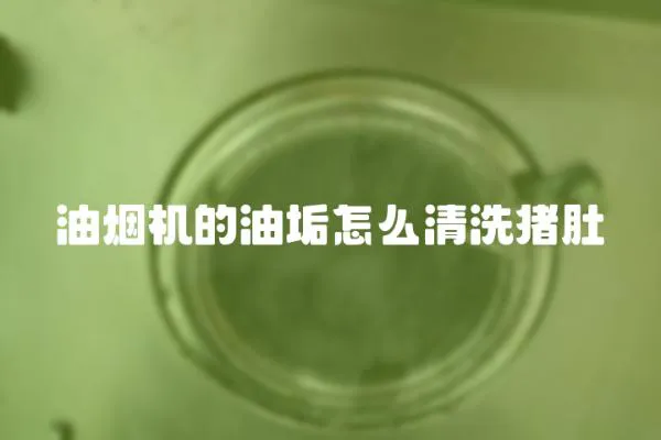 油煙機的油垢怎么清洗豬肚