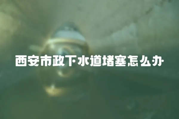 西安市政下水道堵塞怎么辦
