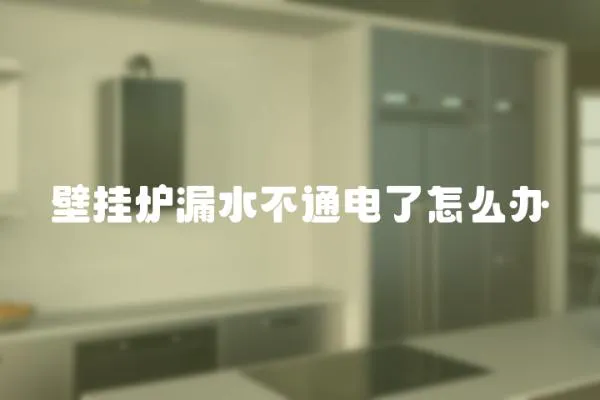 壁掛爐漏水不通電了怎么辦