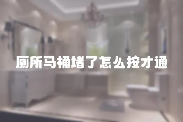 廁所馬桶堵了怎么按才通