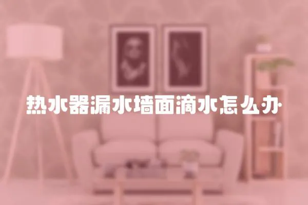 熱水器漏水墻面滴水怎么辦