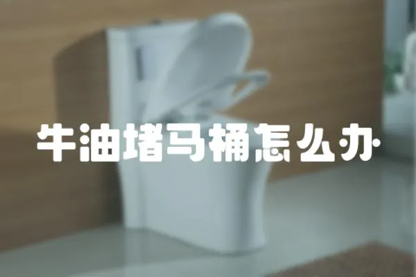 牛油堵馬桶怎么辦
