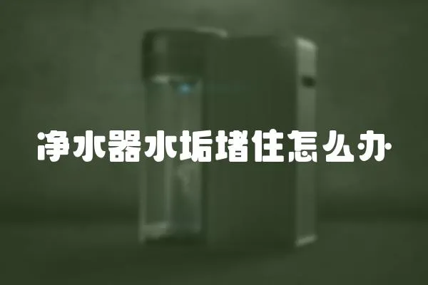 凈水器水垢堵住怎么辦