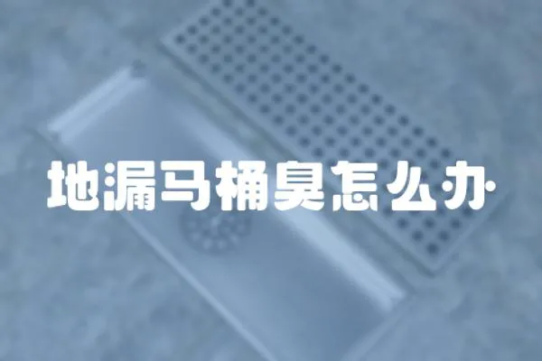 地漏馬桶臭怎么辦