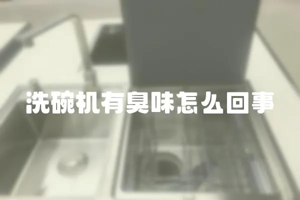 洗碗機有臭味怎么回事