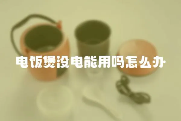 電飯煲沒電能用嗎怎么辦