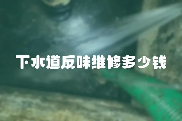 下水道反味維修多少錢