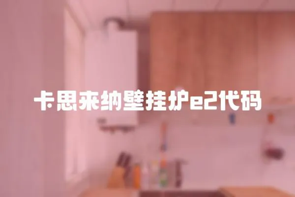卡思來納壁掛爐e2代碼