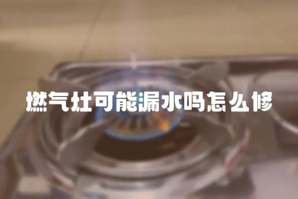 燃氣灶可能漏水嗎怎么修