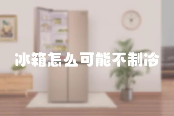 冰箱怎么可能不制冷