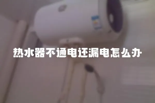 熱水器不通電還漏電怎么辦