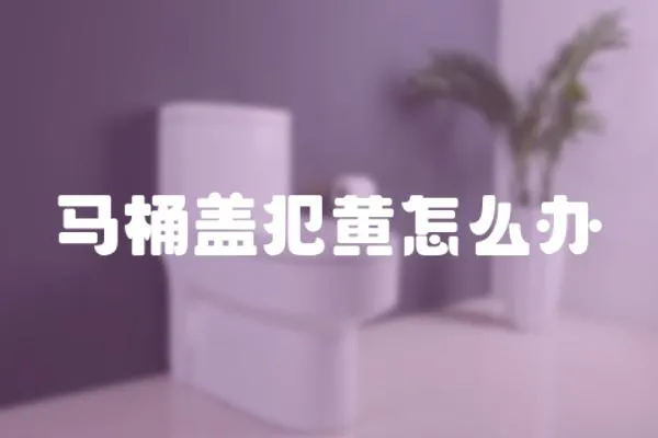 馬桶蓋犯黃怎么辦