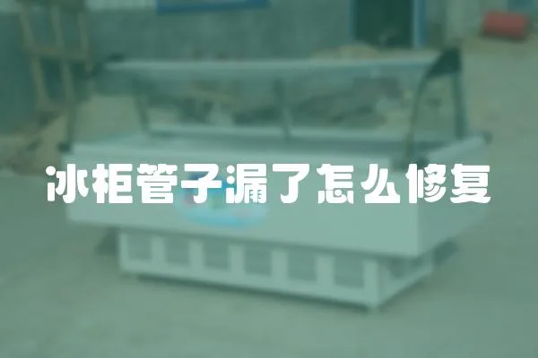 冰柜管子漏了怎么修復