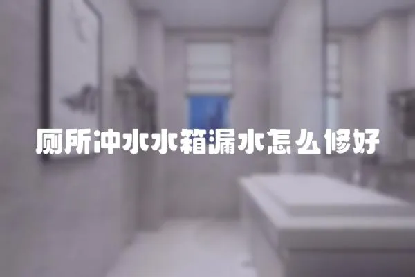 廁所沖水水箱漏水怎么修好