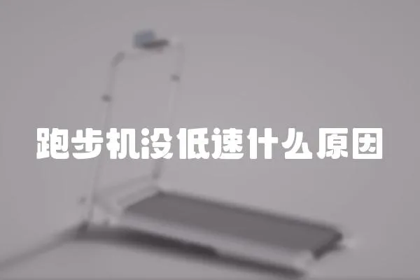 跑步机没低速什么原因