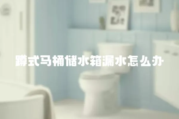 蹲式馬桶儲水箱漏水怎么辦