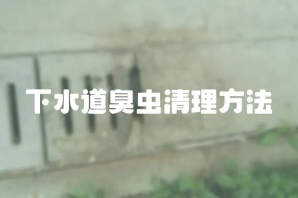 下水道臭蟲清理方法
