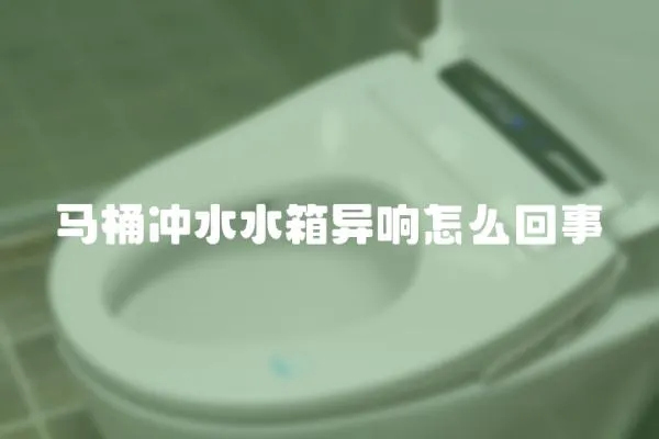 马桶冲水水箱异响怎么回事