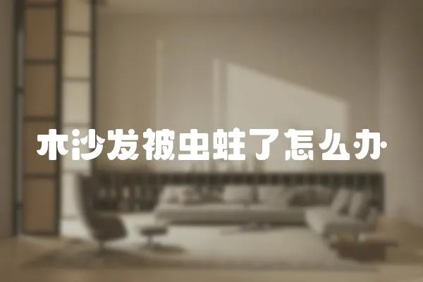 木沙發(fā)被蟲蛀了怎么辦