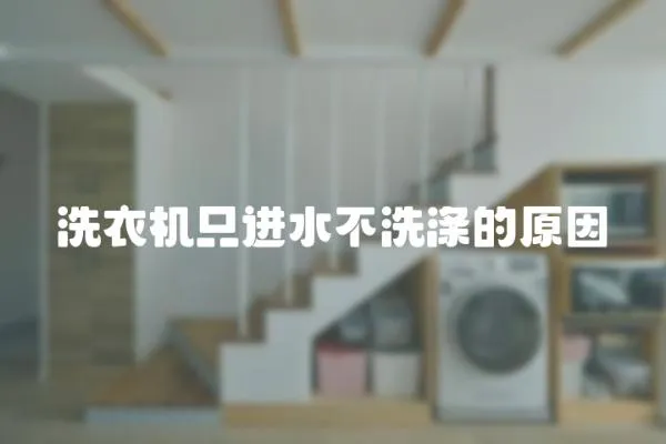 洗衣機(jī)只進(jìn)水不洗滌的原因